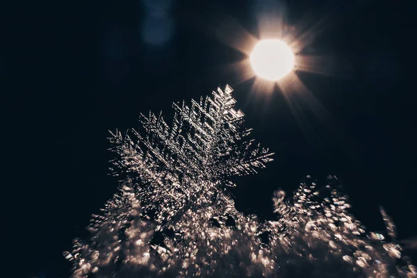Snöflingor Närbild Och Sol Makrofoto Begreppet Vinter Kyla Naturens Skönhet — Stockfoto