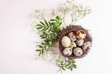 Quail eggs lie in a decorative nest. Around a branch with green leaves and white small flowers. Light pastel background. The concept of spring, easter. Minimalism, flat lay, copyspace, top view.