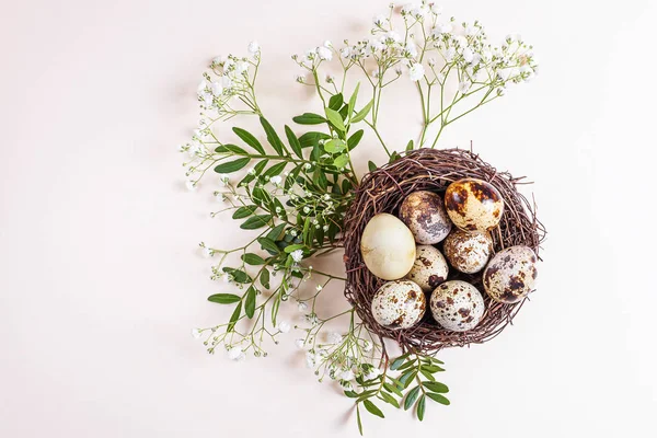 Uova Quaglia Trovano Nido Decorativo Intorno Ramo Con Foglie Verdi — Foto Stock