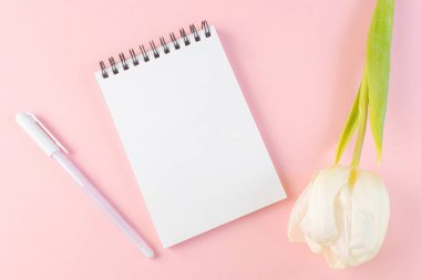 Boş beyaz bir sayfa, pembe bir zemin üzerinde pembe bir lale ve kalem bulunan bir spiral üzerinde not defteri. Düz yatış, üst görünüm, telif alanı, minimalizm. Kız günlüğü konsepti, notlar, fikirler