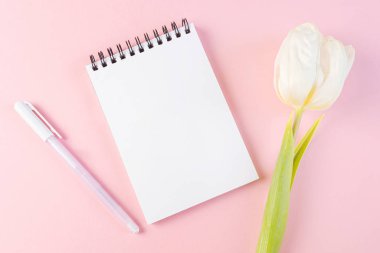 Boş beyaz bir sayfa, pembe bir zemin üzerinde pembe bir lale ve kalem bulunan bir spiral üzerinde not defteri. Düz yatış, üst görünüm, telif alanı, minimalizm. Kız günlüğü konsepti, notlar, fikirler