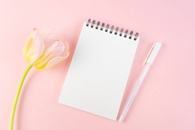 Boş beyaz bir sayfa, pembe bir zemin üzerinde pembe bir lale ve kalem bulunan bir spiral üzerinde not defteri. Düz yatış, üst görünüm, telif alanı, minimalizm. Kız günlüğü konsepti, notlar, fikirler