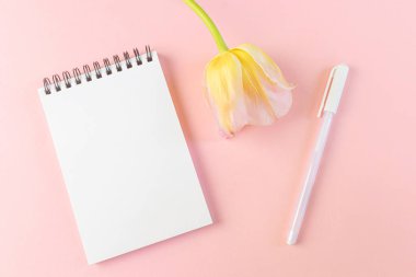 Boş beyaz bir sayfa, pembe bir zemin üzerinde pembe bir lale ve kalem bulunan bir spiral üzerinde not defteri. Düz yatış, üst görünüm, telif alanı, minimalizm. Kız günlüğü konsepti, notlar, fikirler