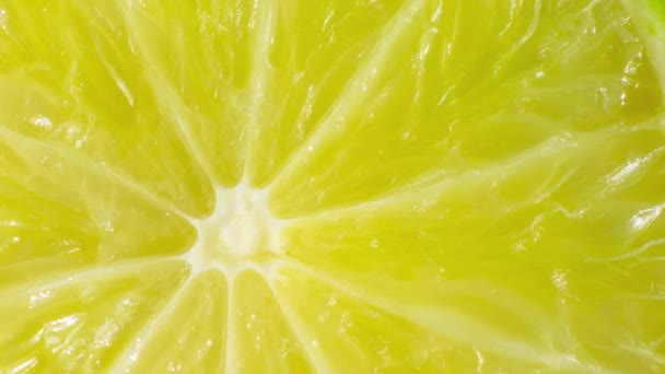 Pulpa Cítrica Primer Plano Limón Naranja Lima Pomelo Mandarina Pomelo — Vídeo de stock