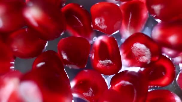 Ripe Pomegranate Seeds Closeup Dark Background Spectacular Macro Photo Concept — Stock Video