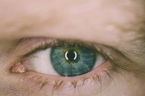 近视的眼睛 宏观照片 虹膜是绿蓝色的 复制空间 眼科的概念虹膜的色素沉着眼睛看着明亮的主题 — 图库照片