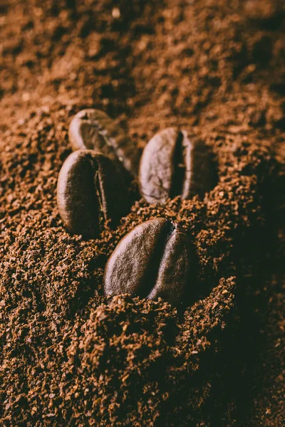 Coffee beans and ground coffee, macro photo in warm colors. The concept of making coffee.
