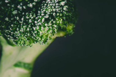 Taze brokoli yakın plan. Arka plan makro yemek fotoğrafı. Sağlıklı gıda konsepti, veganlık. Koyu arkaplan.