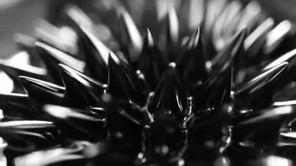 Ferrofluid Magnetische Flüssigkeit Nahaufnahme Abstrakter Minimalistischer Schwarzer Trendiger Hintergrund Flüssigkeit — Stockvideo