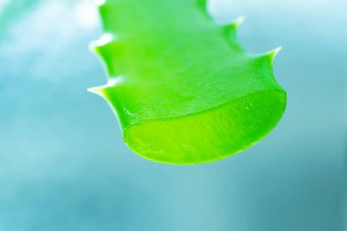 Yeşil yapraklı Aloe Vera Jel, arka planda yakın plan. Cilt bakımı, sağlık hizmeti konsepti. Aloe taze meyve suyu makro shot 'ı. Alternatif tıp, nemlendirici kozmetik.