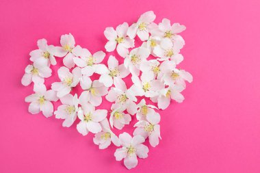 Parlak pembe bir arka planda kalp şeklinde beyaz çiçekler serilmişti. Bahar, yaz, aşk, tatil, Sevgililer Günü konsepti. Pankart için resim, kartpostallar. Kopyalama alanı.