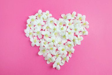 Parlak pembe bir arka planda kalp şeklinde beyaz çiçekler serilmişti. Bahar, yaz, aşk, tatil, Sevgililer Günü konsepti. Pankart için resim, kartpostallar. Kopyalama alanı.