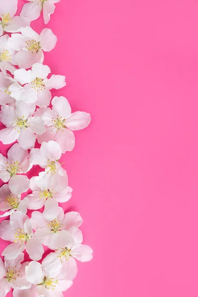 Białe Kwiaty Jasnoróżowym Tle Koncepcja Wiosny Lata Kwitnienia Wakacje Uroczystości — Zdjęcie stockowe