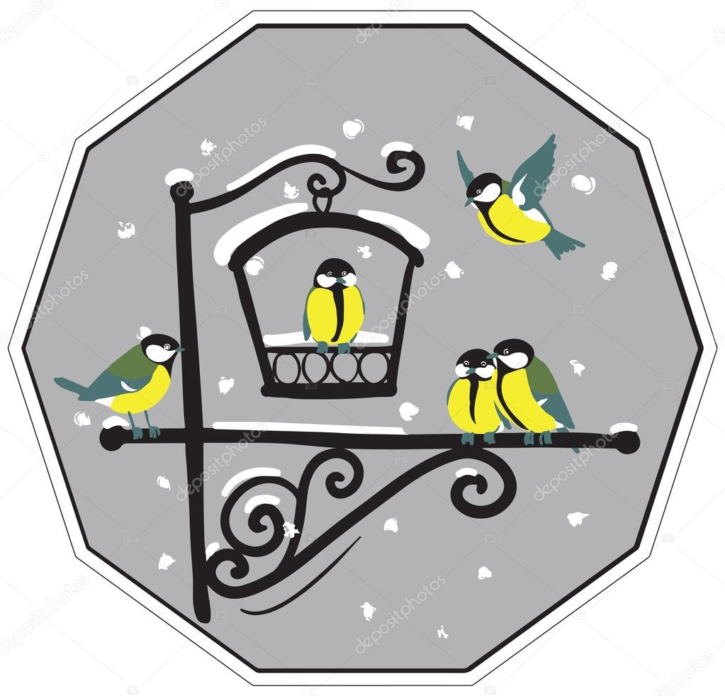 birds at feeders in winter