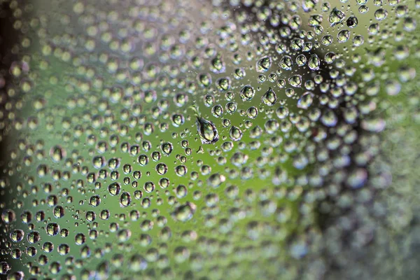 Una goccia d'acqua su una ragnatela. Macro. Sfondo verde sfocato . — Foto Stock