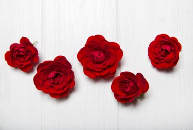 Kırmızı gül Beyaz ahşap bir masa üzerinde. Yukarıdan görüntüleyin. Çiçek esen