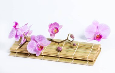 Bambu hasır üzerinde orkide fışkın. Beyaz arka plan.