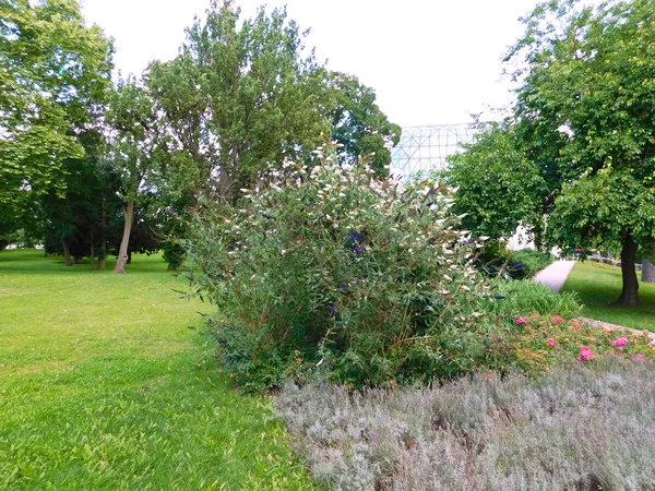 Terra Nossa Bela Natureza — Fotografia de Stock