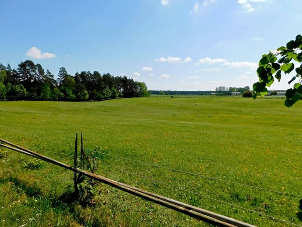 Подорож Землі Красиві Уккермарк — стокове фото