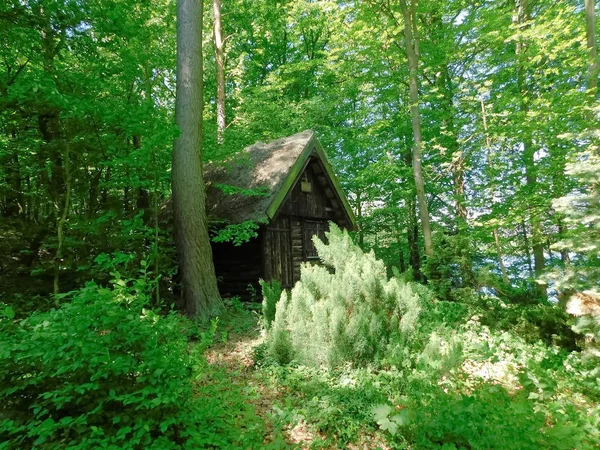 Ház Erdőben — Stock Fotó