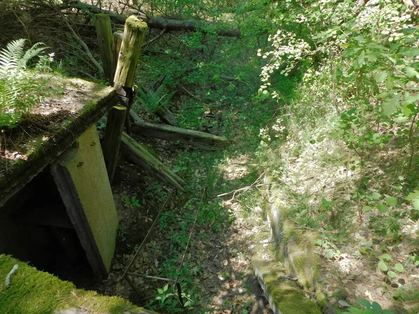 Voormalige Bunker Complex Uckermark — Stockfoto