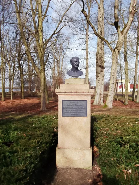 Busto Pedestal — Fotografia de Stock