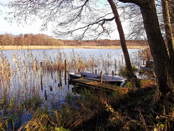 Shores Uckermark Lakes — Stock Photo, Image