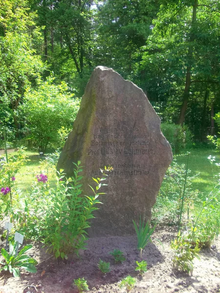 Piedra Conmemorativa Jardín Botánico — Foto de Stock