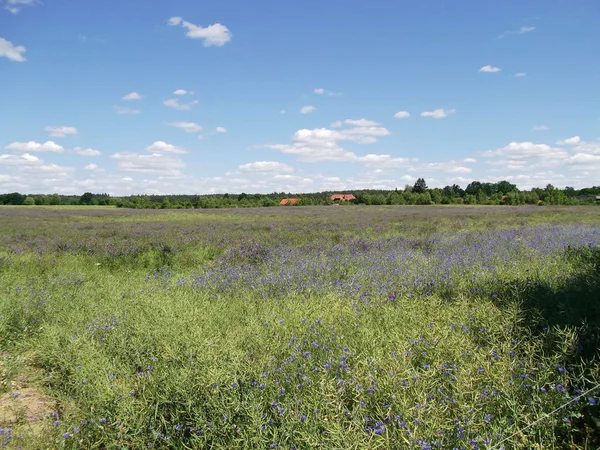 Urlaub Der Uckermark — Stockfoto