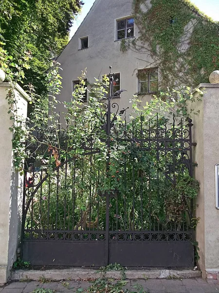 Wrought Iron Gate — Stock Photo, Image