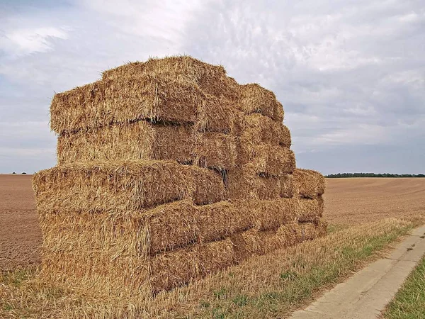 Συγκομιδή Χρόνος Για Uckermark — Φωτογραφία Αρχείου