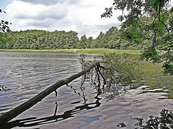 Our Beautiful Home Uckermark — Stock Photo, Image