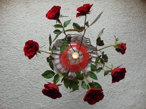 Rosas Piedra — Foto de Stock