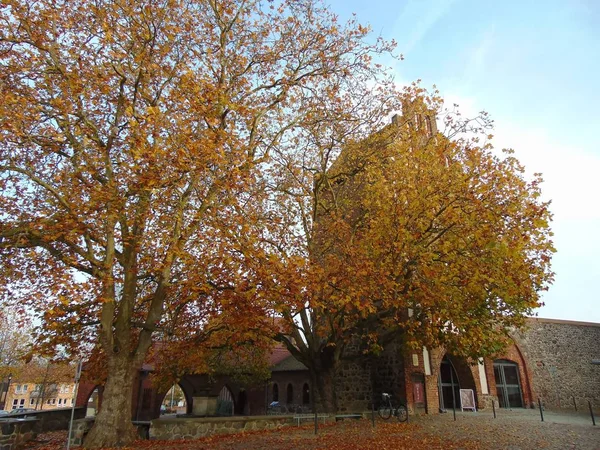 Herfst Impressies Stad — Stockfoto