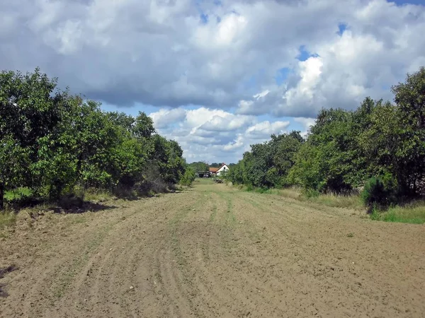 Uckermark 的田野和草地 — 图库照片