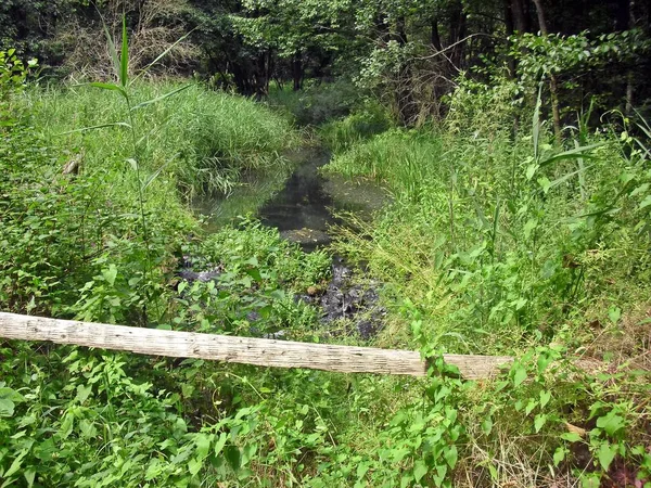 Drömmande Beskaffenhet Uckermark — Stockfoto