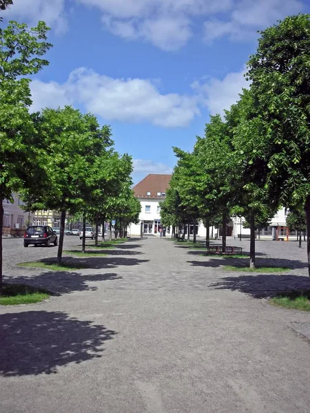 Tree Avenue Market Place — Stock Photo, Image