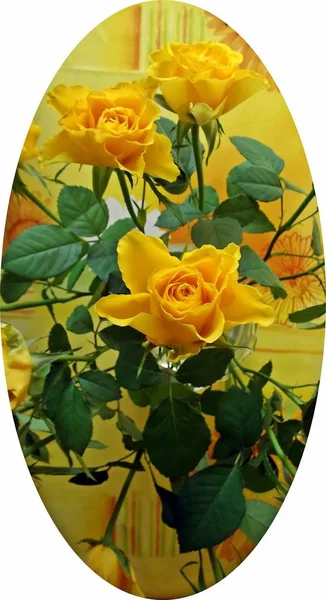 Bukiet Żółtych Róż Moss — Zdjęcie stockowe