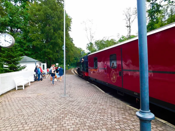 海利根达曼 梅克伦堡 西波美拉尼亚 2019年8月8日 位于海利根达曼历史站的蒸汽机车 — 图库照片