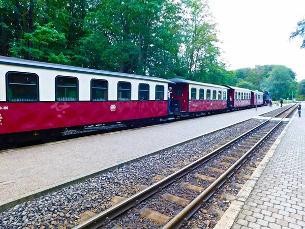 Heiligendamm Meclemburgo Pomerania Occidentale Germania Agosto 2019 Una Locomotiva Vapore — Foto Stock