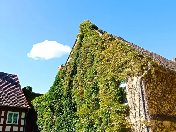 Hus Historisk Gammal Stad — Stockfoto