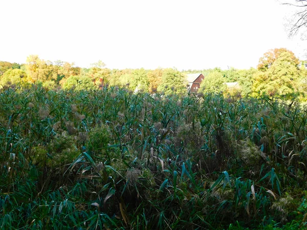 Zapierający Dech Piersiach Naturalny Krajobraz Boitzenburger Land — Zdjęcie stockowe