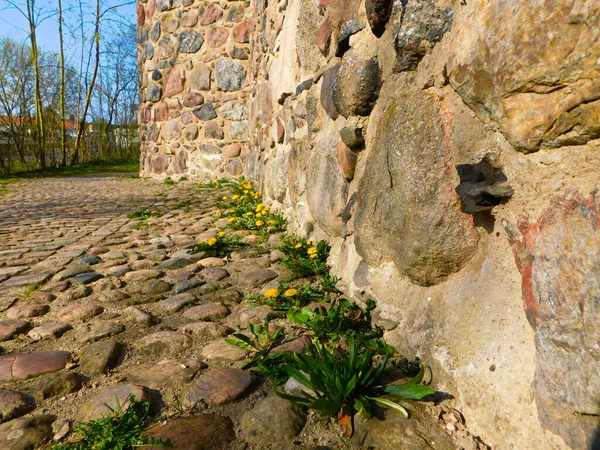 Boutons Sur Mur Historique Ville Moyen Age — Photo
