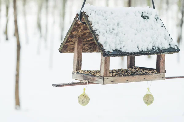 Comedero de aves y pajareras en el parque de invierno —  Fotos de Stock