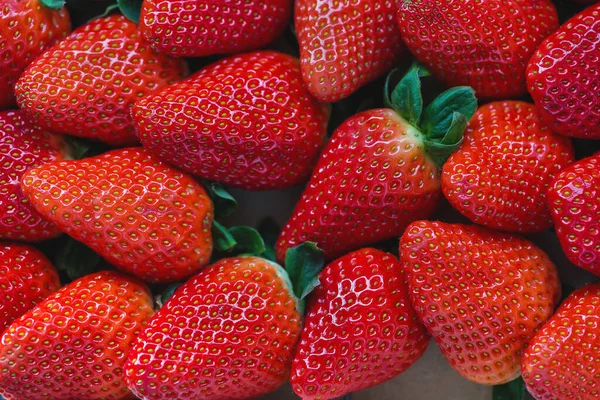 Verse geoogste aardbeien achtergrond — Stockfoto