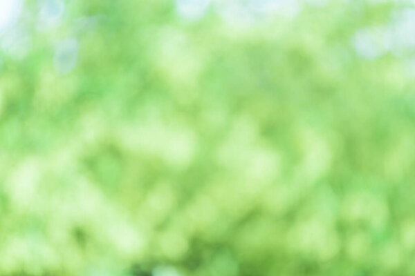 Blurred abstract spring green background