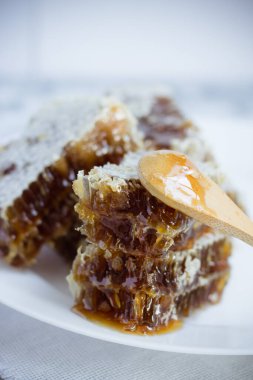 Beyaz bir tabakta bal ve ahşap bir kaşıkta bal.