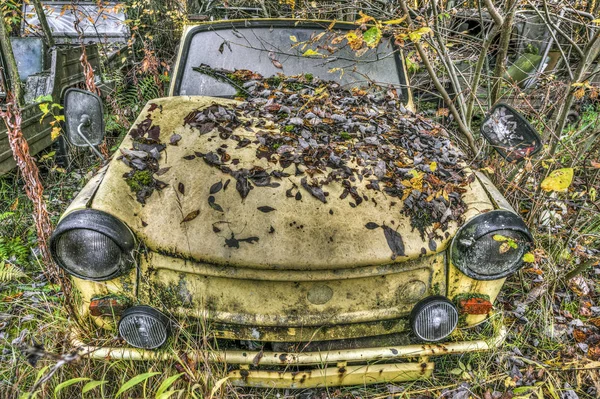 Покинута жовта машина в кущах — стокове фото