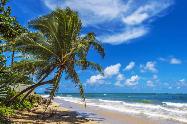 Praia de Punaluu na Ilha de Oahu, Havaí — Fotografia de Stock