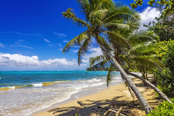 Praia de Punaluu na Ilha de Oahu, Havaí — Fotografia de Stock